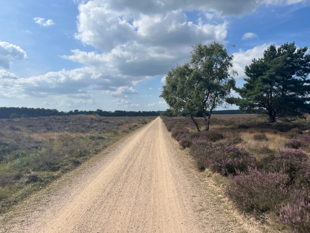 freedomnature