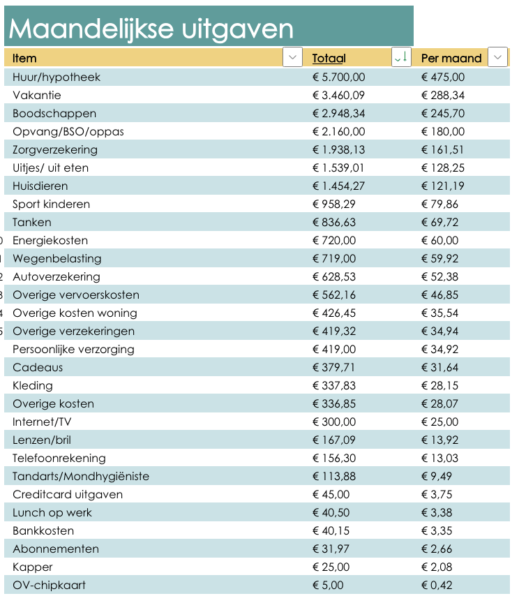 maandelijkse uitgaven 2025